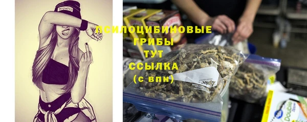 стафф Горняк