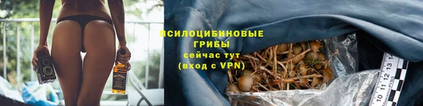 mix Горнозаводск