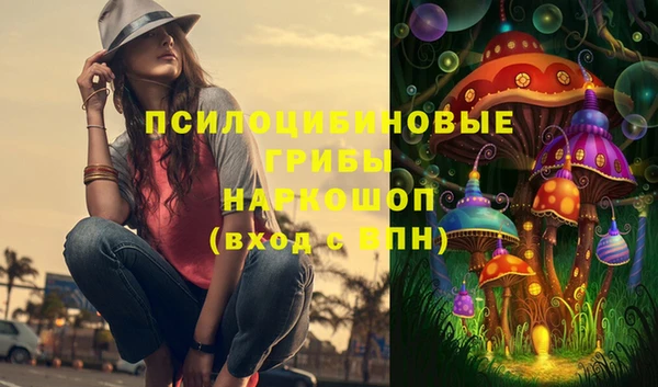 МДПВ Горно-Алтайск