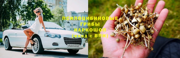 стафф Горняк