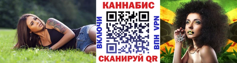 Каннабис ГИДРОПОН  Купить где  Кирс 